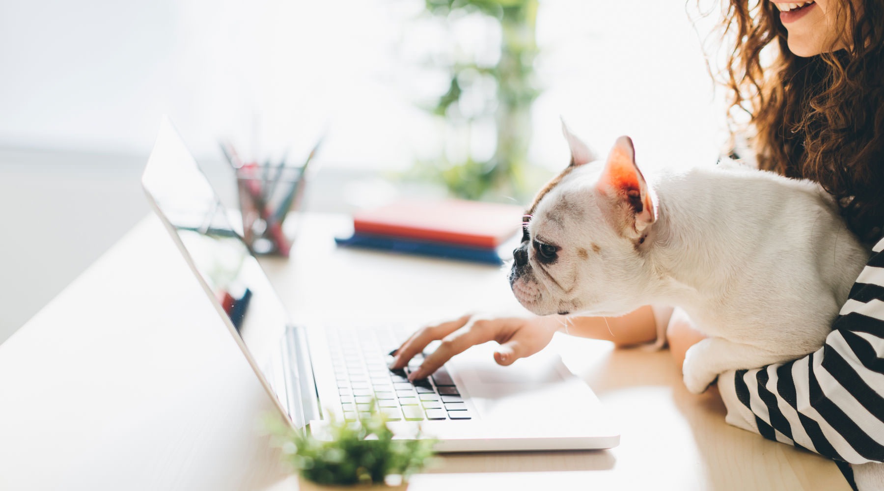 Abacus Alamo Ranch is Pet Friendly A woman holding her dog